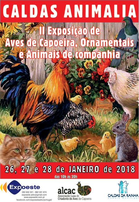 2 Caldas Animlia - Exposio de Aves de Capoeira, Ornamentais e Animais de Companhia