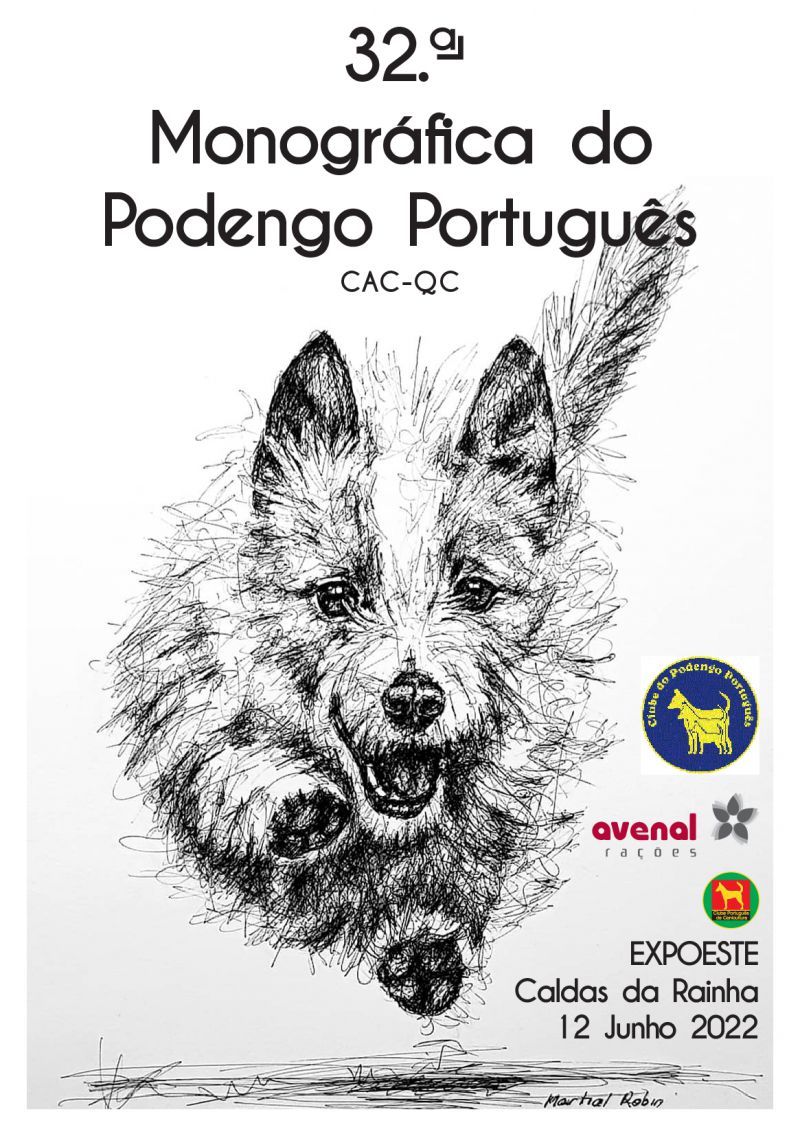 32 Monogrfica do Podengo Portugus 