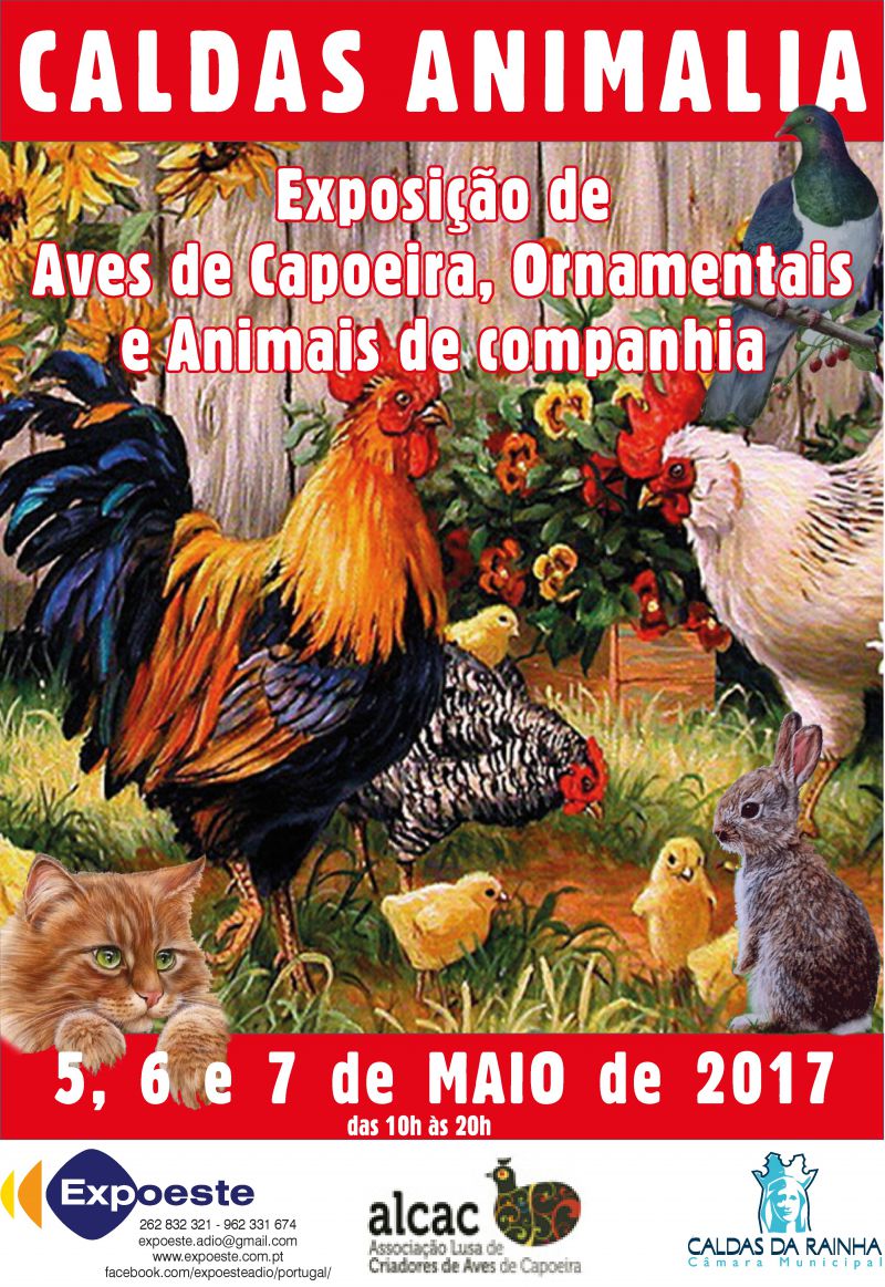 Caldas Animalia - 1 Exposio de Aves de Capoeira, Ornamentais e Animais de Companhia